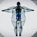 FatFit2015's profile picture. Going from Fat to Fit in 2015. Daily updates using Twitter as a diary. #Fat2Fit