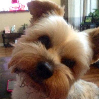 Emmy2Shoes's profile picture. 