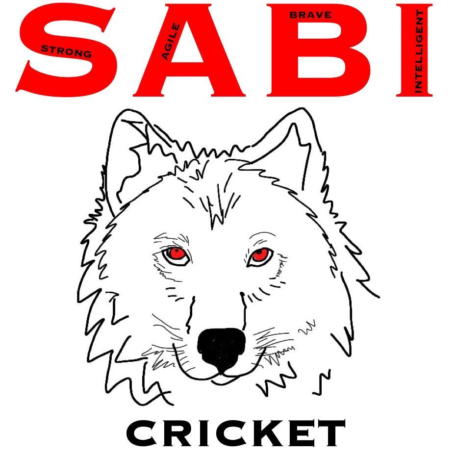 Coaching, coach tutoring and mentoring in Surrey and the South-East. YouTube Sabi_Cricket