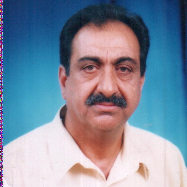 Mechanical engineer,Expert in glass fabrication for electric lamps. University Lecturer