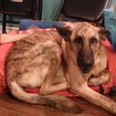 RANDY HUGGINS - @13huggins - Twitter