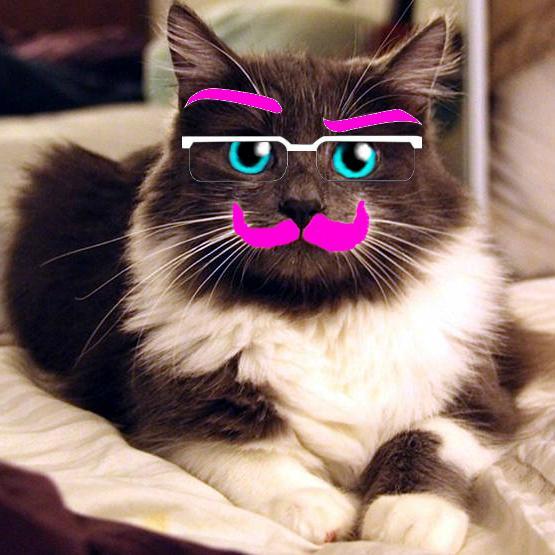 I can be anything you want me to be. I can do anything you want me to do. Just ask. Check me out on tumblr. http://t.co/jC0M9kaZVP