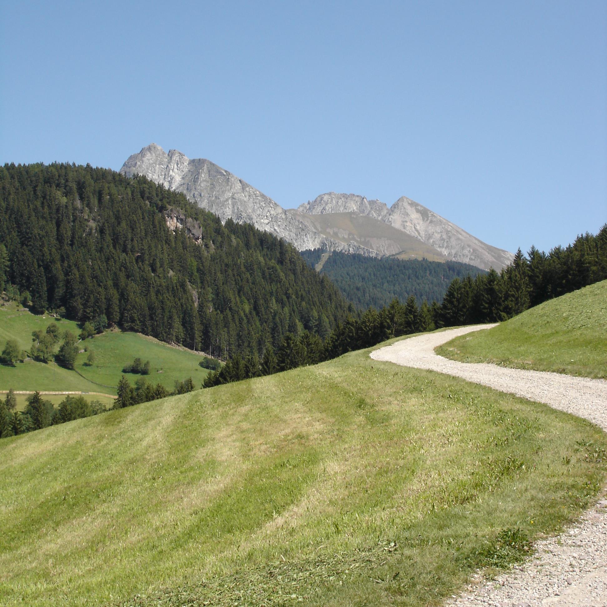 Beiträge und Empfehlungen für gutes und professionelles Business Coaching