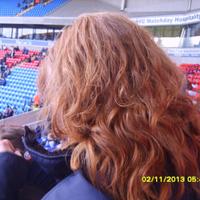 Ginny Hadfield (@sophthecatsmum) 's Twitter Profile Photo