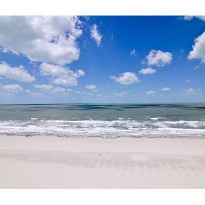 Michele_Venuti's profile picture. Italian,loves cooking, reading and being at the beach!