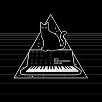 cats synths space (@catsynthspace) 's Twitter Profile Photo