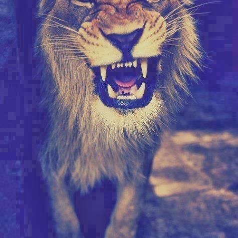 grisysincera's profile picture. Por las lágrimas calladas y las sonrisas forzadas.       «1084 4L»