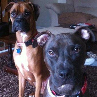 Daily pics of our lovable dopey furry friends ❤️