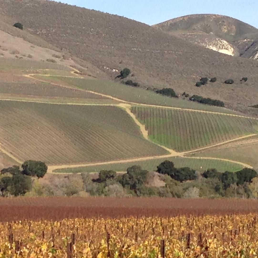 Drinking my way from Buellton to Lompoc, from La Purisma Hills to Santa Rosa Hills . . . celebrating good wine and friendship. #staritahills #wine