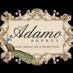 The Adamo Agency (@theadamoagency) Twitter profile photo