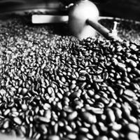 RoasterTools (@roastertools) 's Twitter Profile