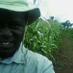 Sam Biraro (@sambiraro) Twitter profile photo