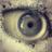 BZipori's profile image