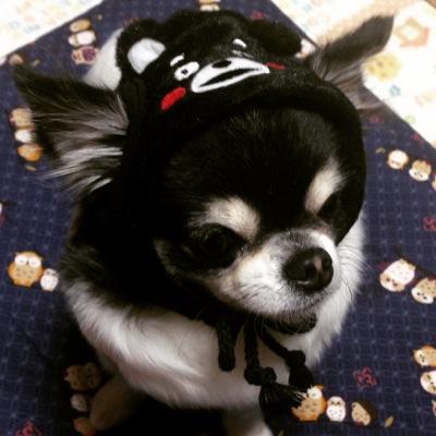 mazeeeeee's profile picture. 焼肉が好きです！でも焼肉以外も好きです！