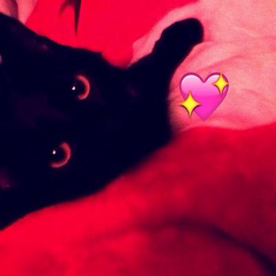 RubyTheCatt Profile Picture