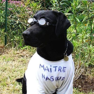 bugbuster69's profile picture. 