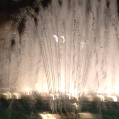 BSalout's profile picture. 