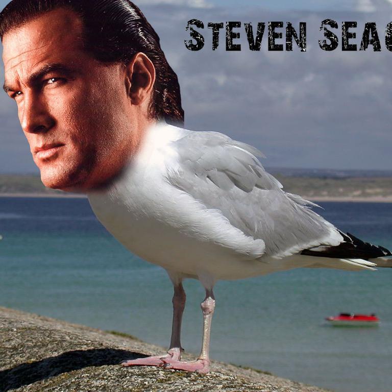 The following posts about Steven Seagal are true, and by true, I mean, false. It's all lies, but its entertaining. Isn't that the real truth? The answer, is no.
