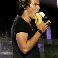 PLEASE HAZZA ✌️ (@1dupdatestrx) 's Twitter Profile