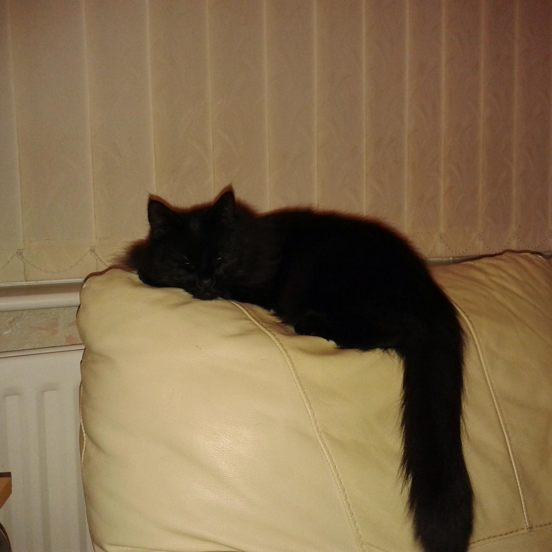 Diane0111965's profile picture. live life to the full 
got a wonderful family and super husband stu :)  I also make cards for any occasion