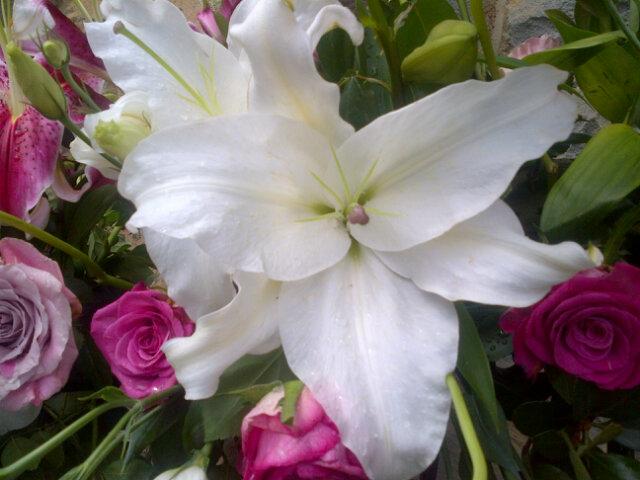 DiMilford1's profile picture. 