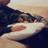 rosha_r404's profile image