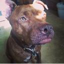 Erin - @ErinBreeding - Twitter