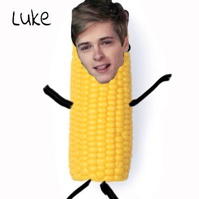 My name is Alissa and I obsses over an 18 year old named @lukekorns ;) // boyband obssesed // luke doesn't follow in case you were wondering :(