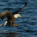 Dave Engler - @EnglerPhoto - Twitter