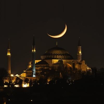 mustafackrk's profile picture. :)