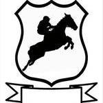 rdcstaking's profile picture. Premium Horse Racing Staking Service