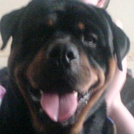 kellb26's profile picture. I am just me , real not fake :)