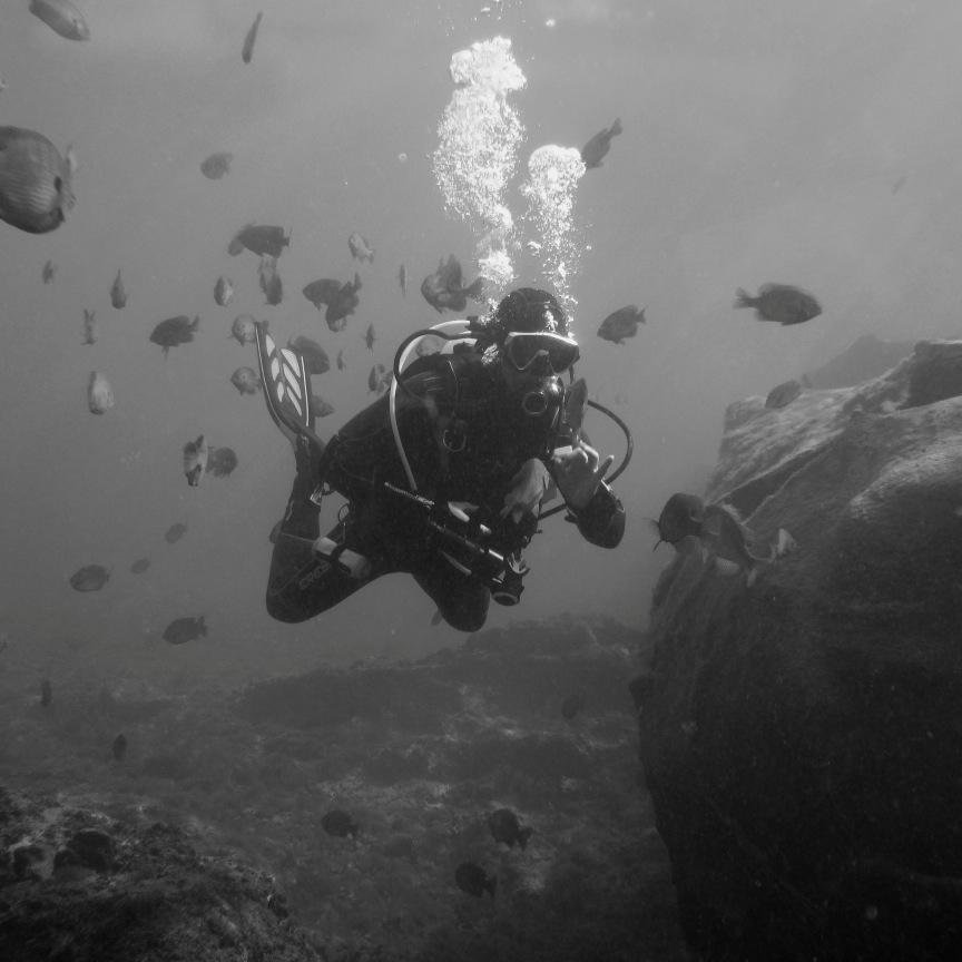 dannyfugate's profile picture. TATTOO - SCUBA - ART