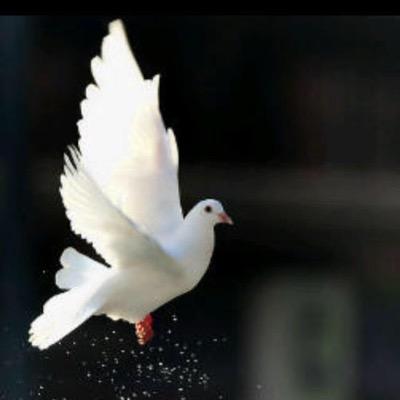 MM_S_S's profile picture. حِينَ تؤمنْ بأن الله قَادر عَلى تَحويلَك مِن حَال إلَى حَالْ ؛ سَتجدُ نَفسَك مُستغنِياً عَن الدُنيا وَما فِيها .