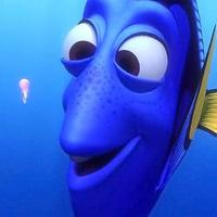 DORY (@findingdoryq) 's Twitter Profile