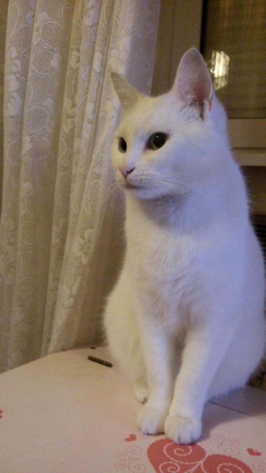 Max2713GER's profile picture. 