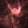 StevearenoBR's profile picture. Amateur astronomer-asteroids+comets MPC Codes:I89(code ' program 16); U69(code 9 program 9);H06(code Q program 58);Q62(code ` program 30); G40(code 5 program 5)