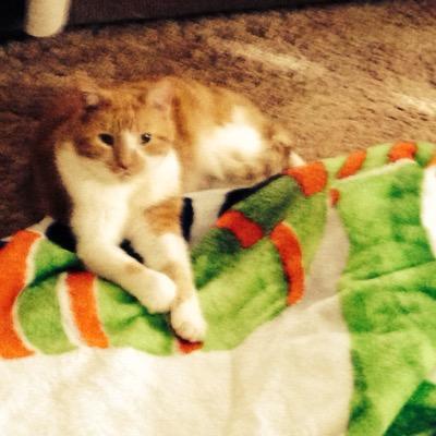 Duckygirl1206's profile picture. 