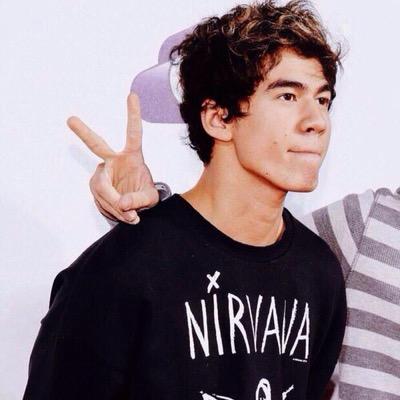 one direction • 5 seconds of summer • janoskians