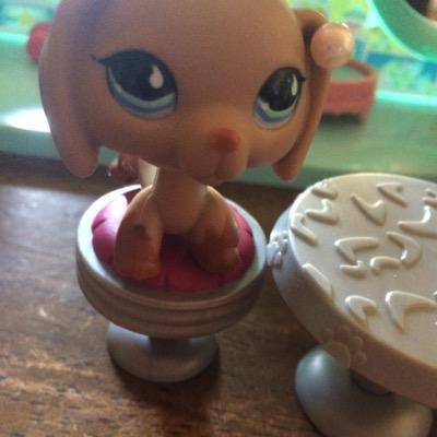 Hi! I LOVE LPS AND UM YEA IM JUST A LIL UBSESD WITH EM!!!!! lol XoXo