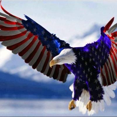 bl3electric's profile picture. 