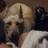 kingey_85's profile image