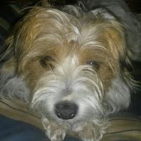 Paul Hauer (@hauerpaul) 's Twitter Profile