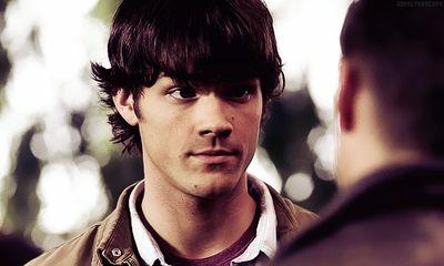 Sam Winchester. I attend Stanford, trying to live a normal like. @luciandmoosey is my angel!