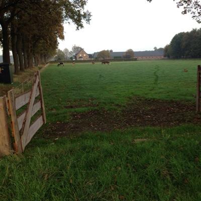 henk_kuijpers's profile picture. 