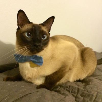 Son of my two wonderful mommies, Bria and Chrissy. Brother of Liam. LGBT! I have two mommies (: Much meow! ❤️
