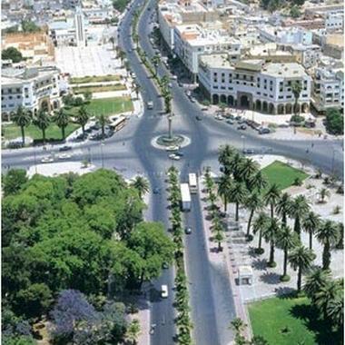 trop_humain's profile picture. 