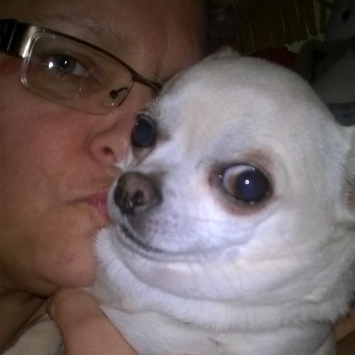 squirrelmamma's profile picture. retired sports therapist. A Level photographer. Wildlife Rescuer/rehab. love motorbikes. Old enough to know better, young enough to still make mistakes