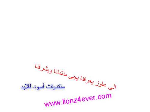 lionz4ever's profile picture. 