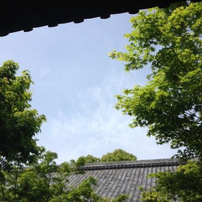 mishimamusi's profile picture. ITやってるただの一般の人。♡♡江ノ島/鎌倉/横浜/食べること/アニメ/カフェ探し♡♡
